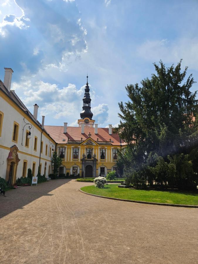 Apartman U Labe Decin Exterior foto