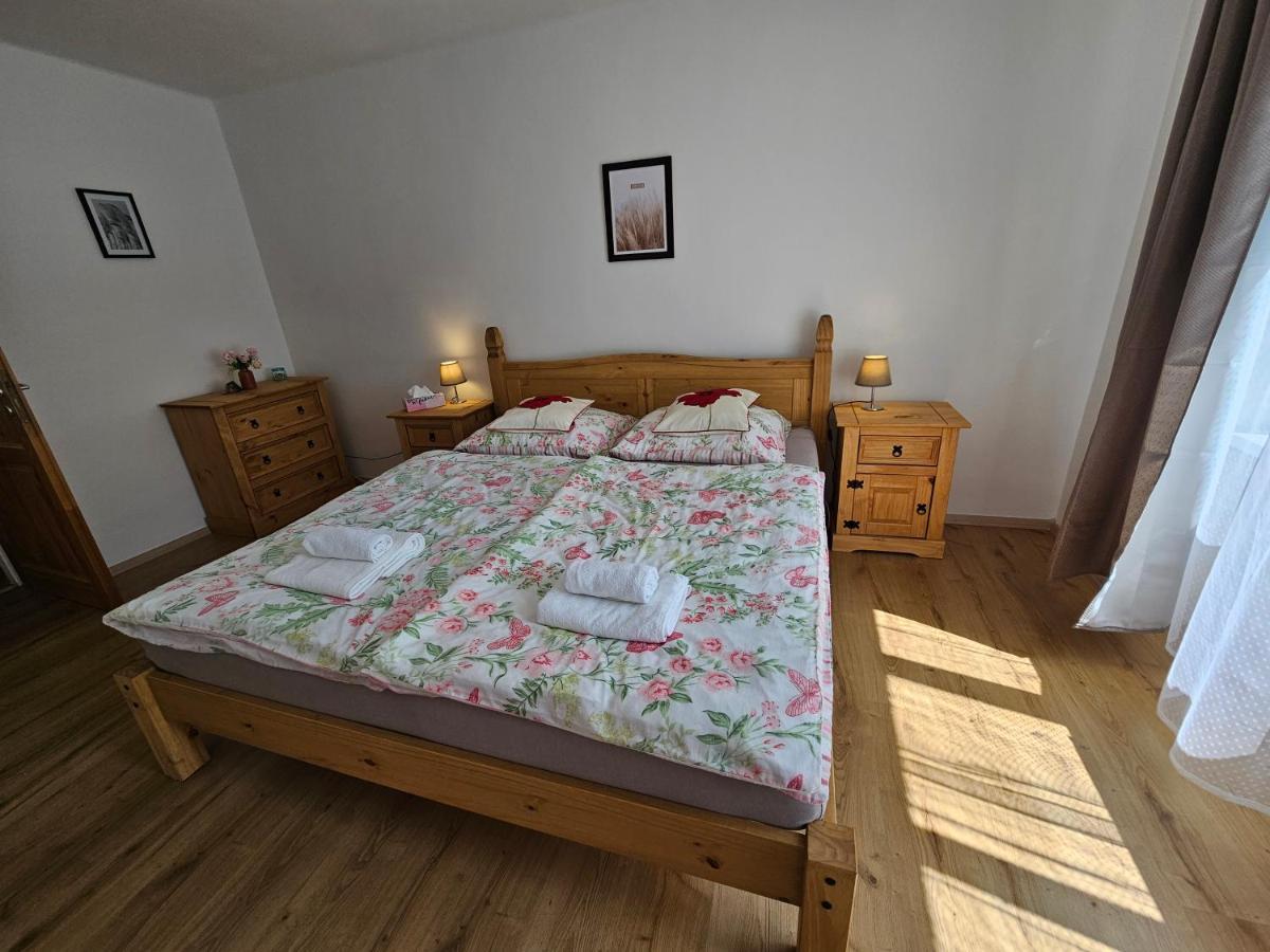 Apartman U Labe Decin Exterior foto